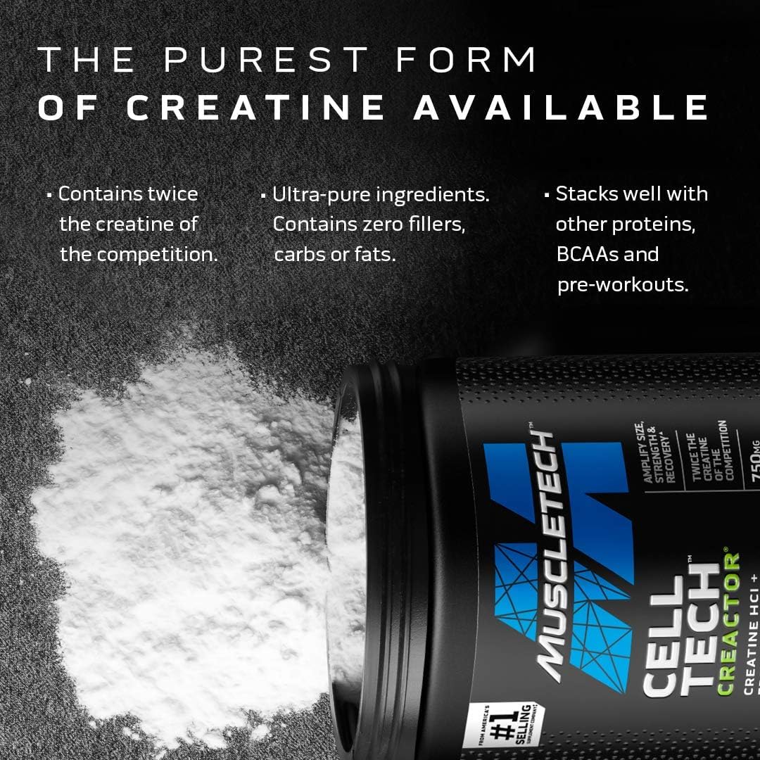 MuscleTech Cell-Tech Creactor Creatine HCl Powder,Post Workout Muscle Builder for Men & Women ,Creatine Hydrochloride + Free-Acid,Unflavored (120 Servings),8.47 oz : Health & Household