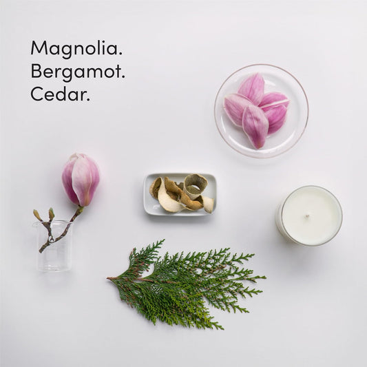 Dirty Labs | Signature Scent | Eco-Friendly Soy Wax Candle | Magnolia. Bergamot. Cedar. | Luxe Home Candle | Vegan, Non-Toxic, Made In Usa