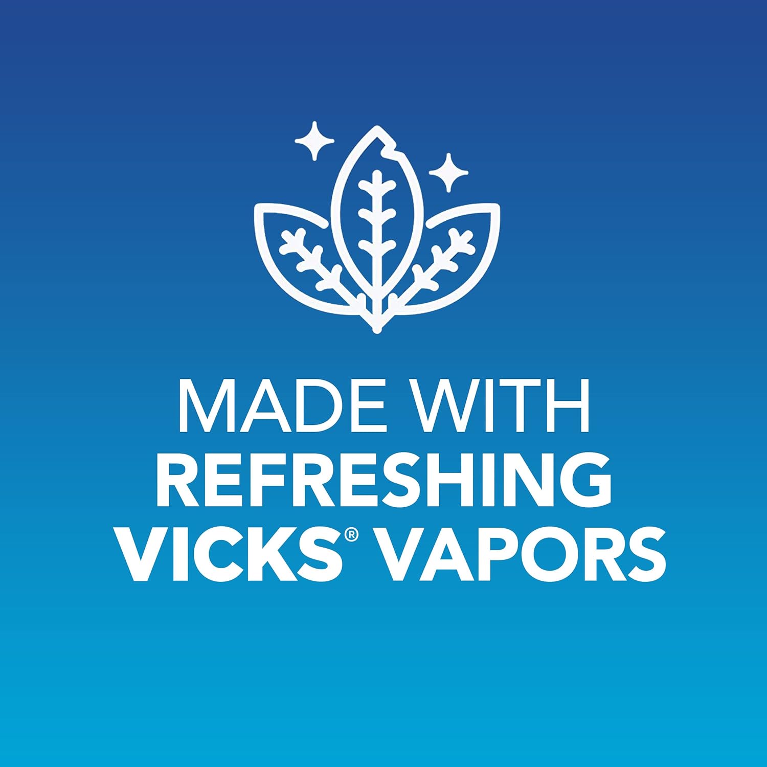 Vicks VapoInhaler, On-the-Go Portable Nasal Inhaler, Non-Medicated, With Refreshing Vicks Vapors, Menthol Scent , 2 Scented Sticks : Health & Household