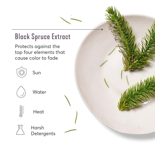 Madison Reed Colorsolve Bond Building Shampoo, For Fragile And Damaged Hair, Strengthen And Repair, Sulfate-Free, Protects Color From Fading - 8 Fl Oz (235 Ml)