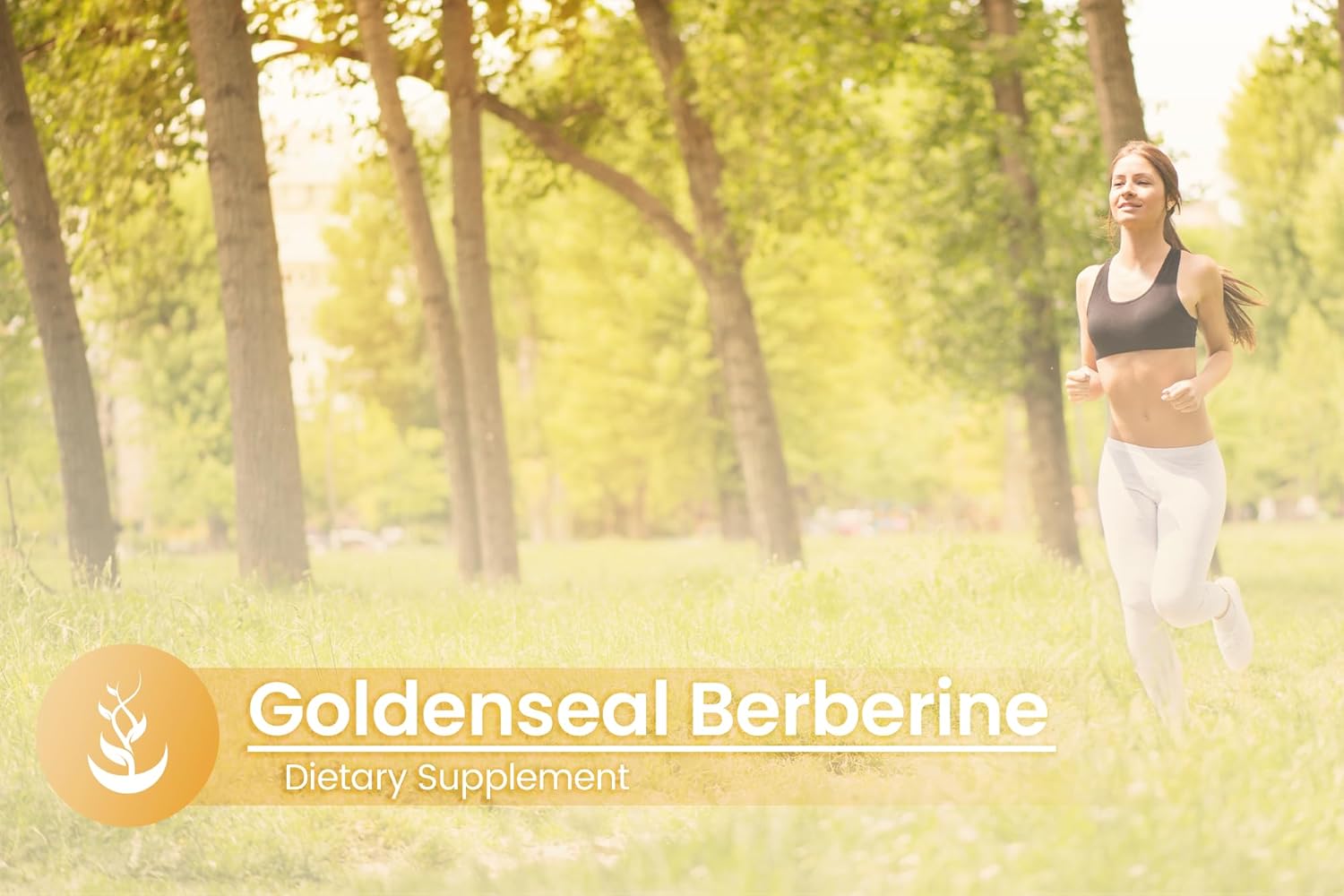 Pure Original Ingredients Goldenseal Berberine, Always Pure, No Additives Or Fillers, Lab Verified (100 Count) : Health & Household