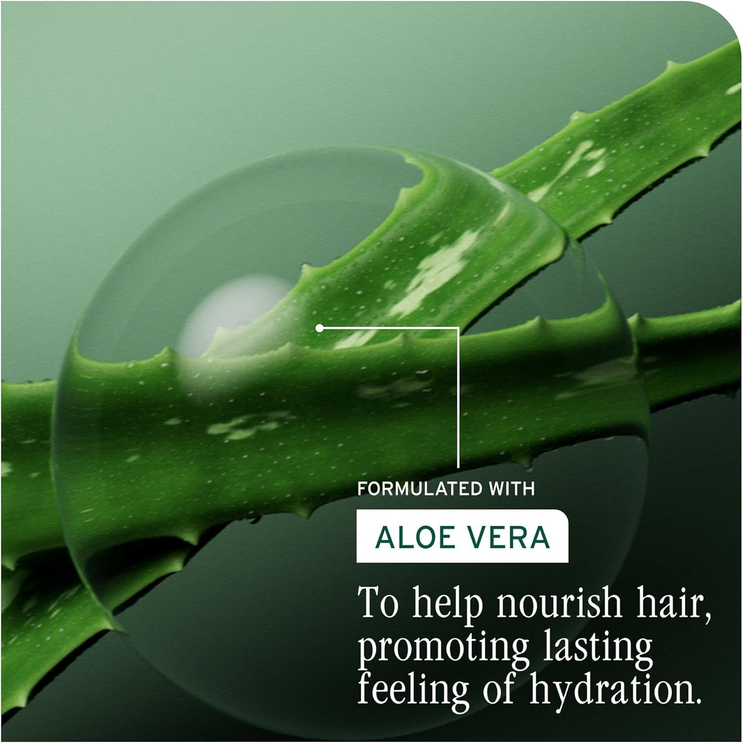 Biolage Hydra Source Shampoo, Nourishing and Moisture Boosting, For Dry Hair, Enriched With Hyaluronic Acid, 400ml : Amazon.co.uk: Beauty