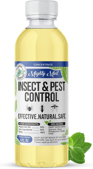 Mighty Mint Insect & Pest Control Peppermint Concentrate 8 Oz - Makes 1 Gallon - Plant-Based Formula Kills And Prevents Spiders, Ants, Flying Insects, And More