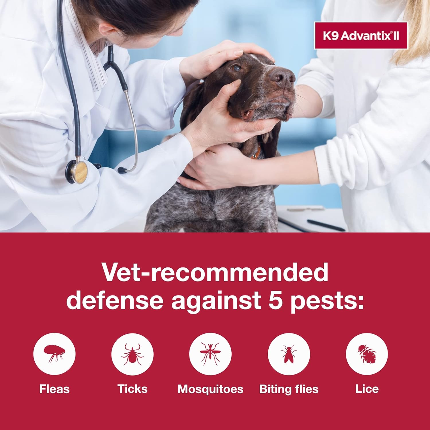 K9 Advantix II XL Dog Vet-Recommended Flea, Tick & Mosquito Treatment & Prevention | Dogs Over 55 lbs. | 1-Mo Supply : Electronics