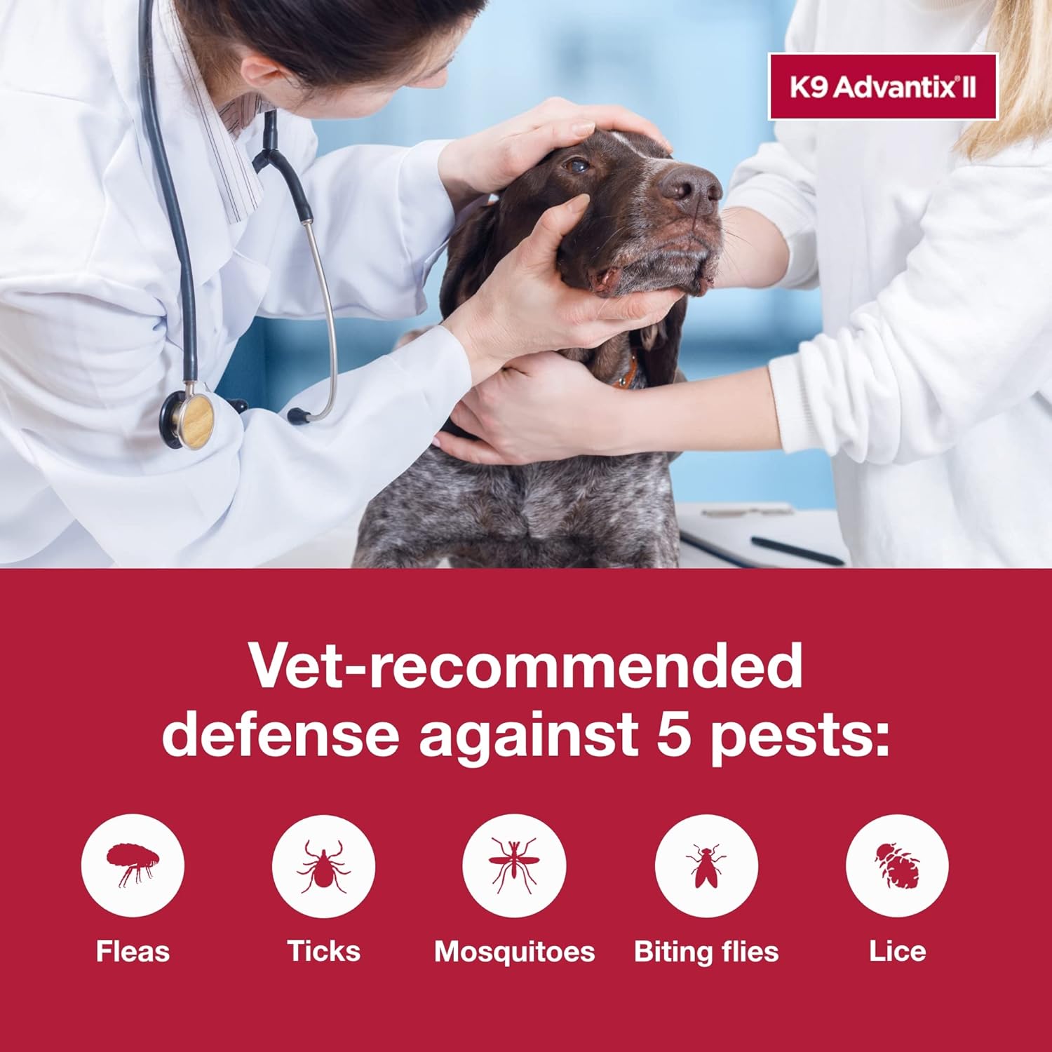 K9 Advantix II XL Dog Vet-Recommended Flea, Tick & Mosquito Treatment & Prevention | Dogs Over 55 lbs. | 6-Mo Supply : Electronics