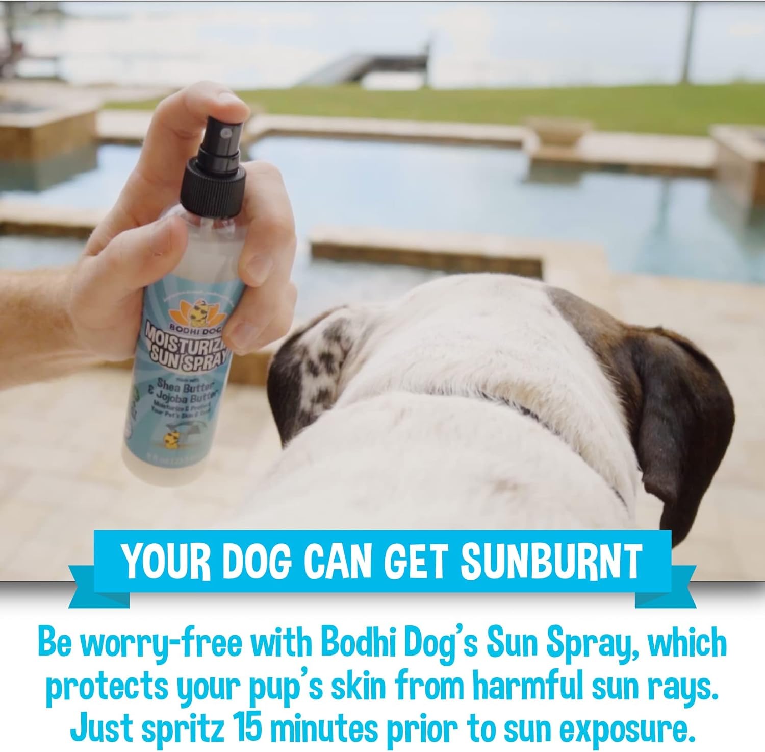 Bodhi Dog Sunscreen | Large 8oz SPF 30+ Moisturizing Pet Sunscreen | Safe for All Breeds of Dogs, Cats and Horses | Natural Skin Protection and Conditioner for Skin, Coat, Nose, and Ears | USA Made