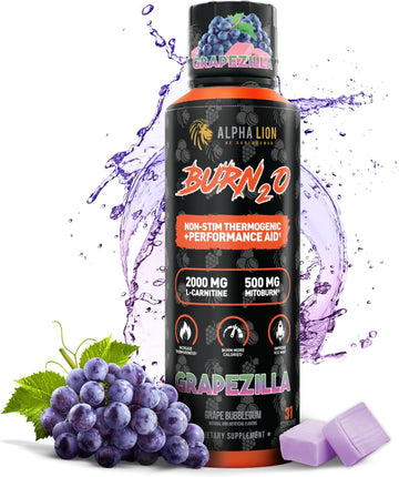 Alpha Lion Burn 20 L-Carnitine Liquid 2000Mg, Premium Liquid Fat Burner & Pre-Workout Supplement For Men & Women - Natural Energy & Metabolism Booster For Weight Loss - Shredberry
