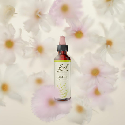Bach Original Flower Remedies (Olive) Live The Day, Stay Energised, Emotional Wellness, Natural Flower Essence, 20Ml
