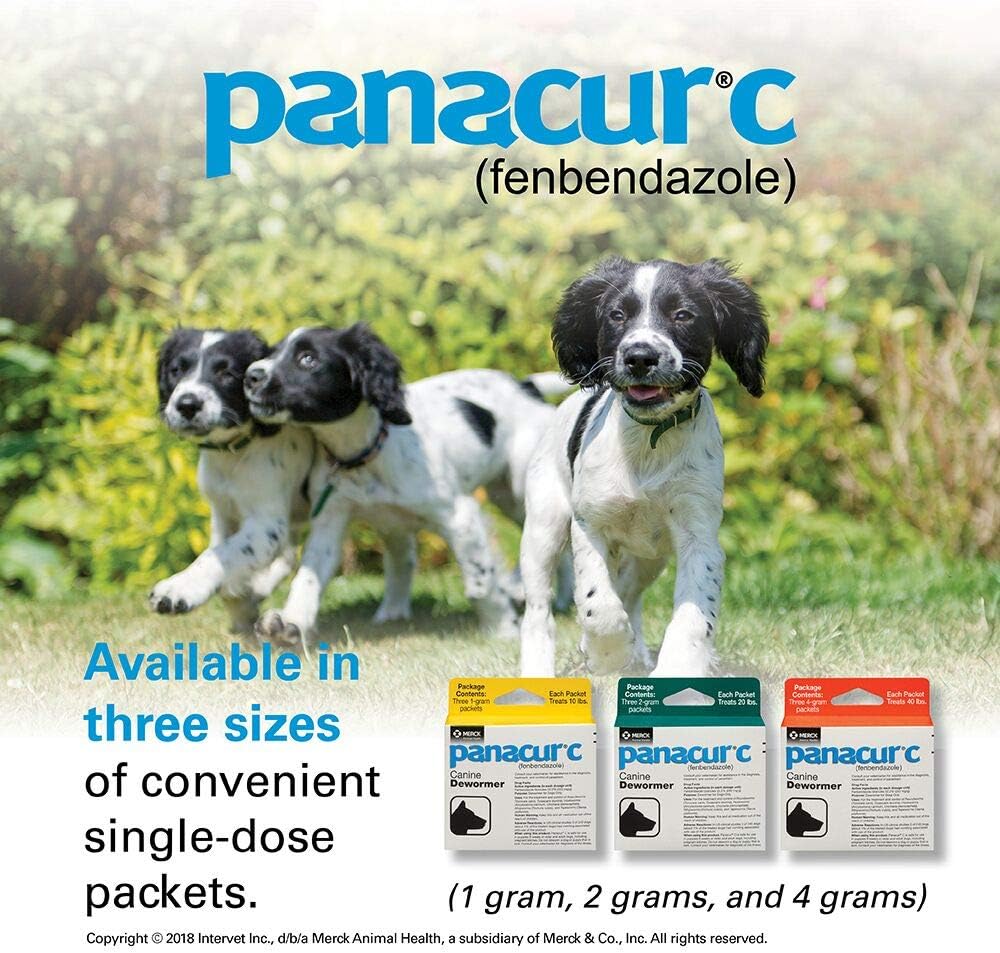 Panacur C Canine Dewormer (Fenbendazole), 4 Gram, 3 Count (Pack of 1), Red : Panacur C : Pet Supplies