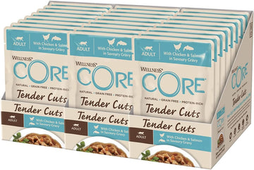 Wellness CORE Tender Cuts, Wet Cat Food, Cat Food Wet with Tender Pieces in Sauce, Grain Free, High Meat Content, Chicken & Salmon, 24 x 85 g?10660