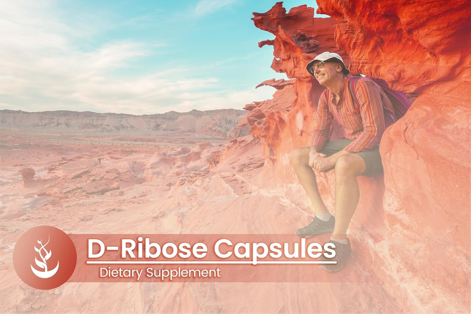 Pure Original Ingredients D-Ribose, (100 Capsules) Always Pure, No Additives Or Fillers, Lab Verified : Health & Household