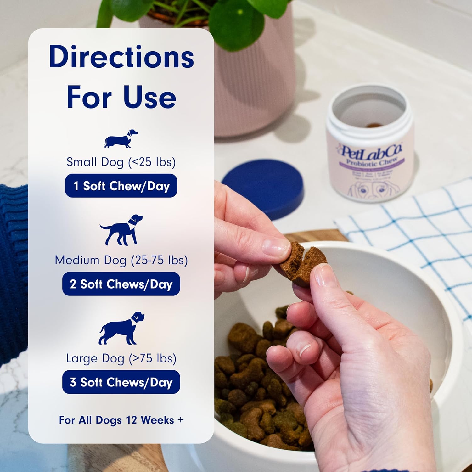PetLab Co. Probiotics for Dogs, Support Gut Health, Diarrhea, Digestive Health & Seasonal Allergies - Pork Flavor - 30 Soft Chews - Packaging May Vary : Pet Supplies