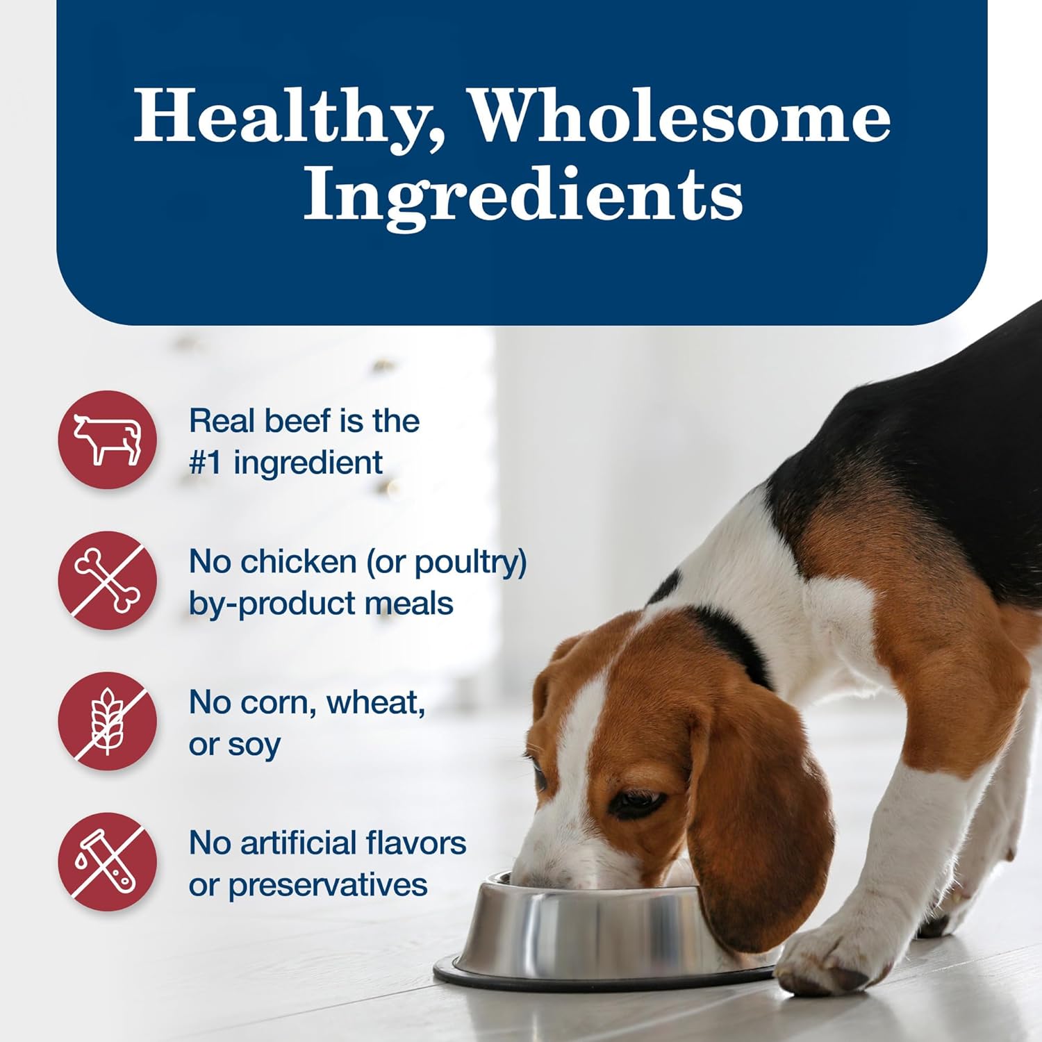 Blue Buffalo Homestyle Recipe Adult Wet Dog Food, Made with Natural Ingredients, Beef Dinner With Garden Vegetables, 12.5-oz. Cans (Pack of 12): Pet Supplies: Amazon.com