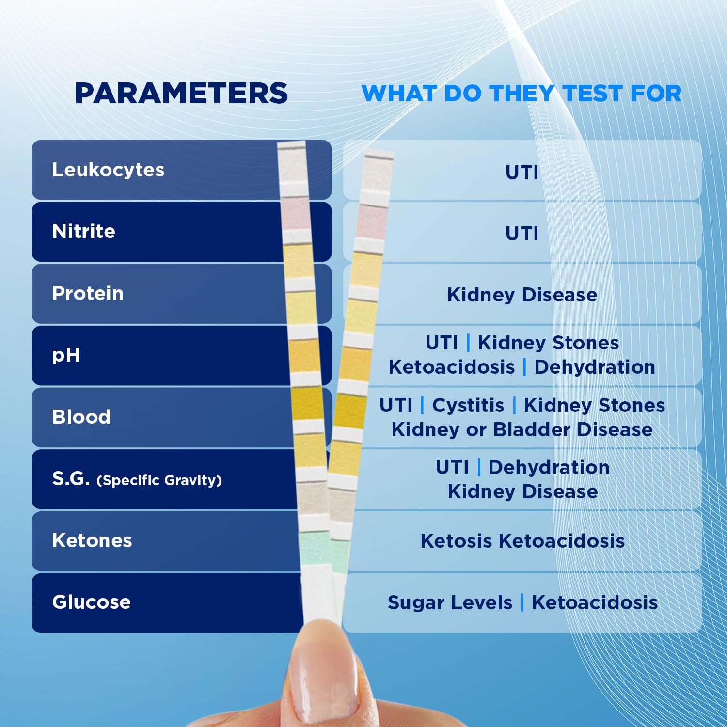 100 x Urine Test Strips for Infection Cystitis Testing Sticks, UTI, Nitrite, Leukocytes, 8 Parameter Urinalysis Multisticks : Amazon.co.uk: Health & Personal Care