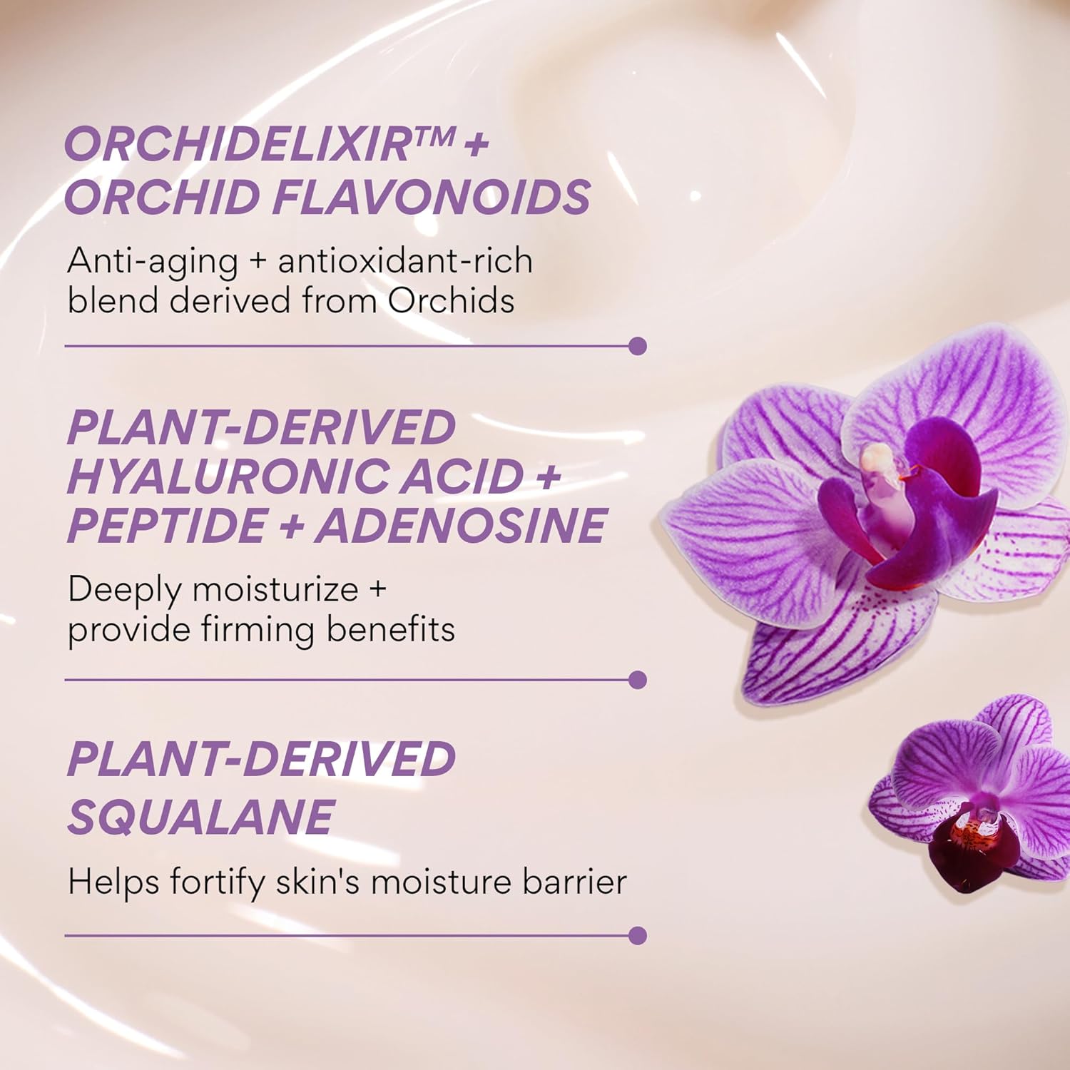 Innisfree Orchid Youth-Enriched Cream, Korean Face Moisturizer For Firming, Hydration, And Youthful Skin : Beauty & Personal Care