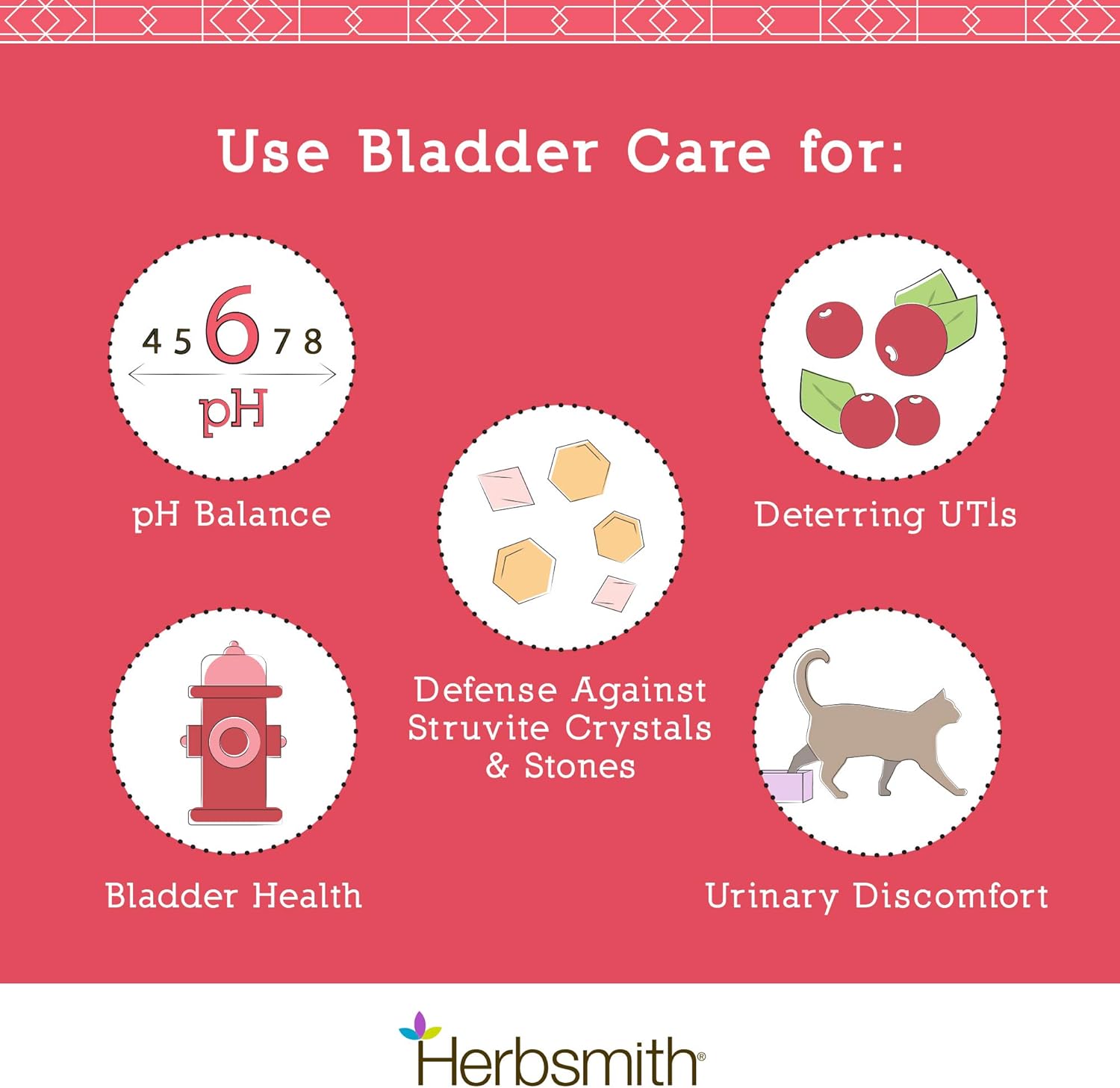 Herbsmith Bladder Care For Cats And Dogs – Maintains Urinary Health For Dogs And Cats – Dog And Cat Kidney Support – 500G Powder : Pet Herbal Supplements : Pet Supplies