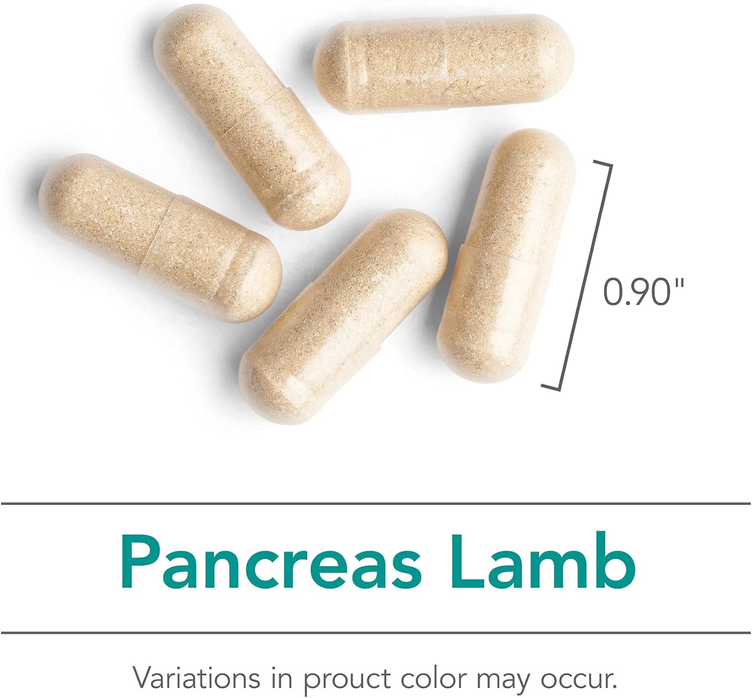 Nutricology Pancreas Lamb Supplement - Pancreas Natural Glandular, Pancreatic Enzymes, Digestive Enzymes for Pancreas, Amylase, Protease, Lipase, Hypoallergenic 425mg - 60 Count : Health & Household