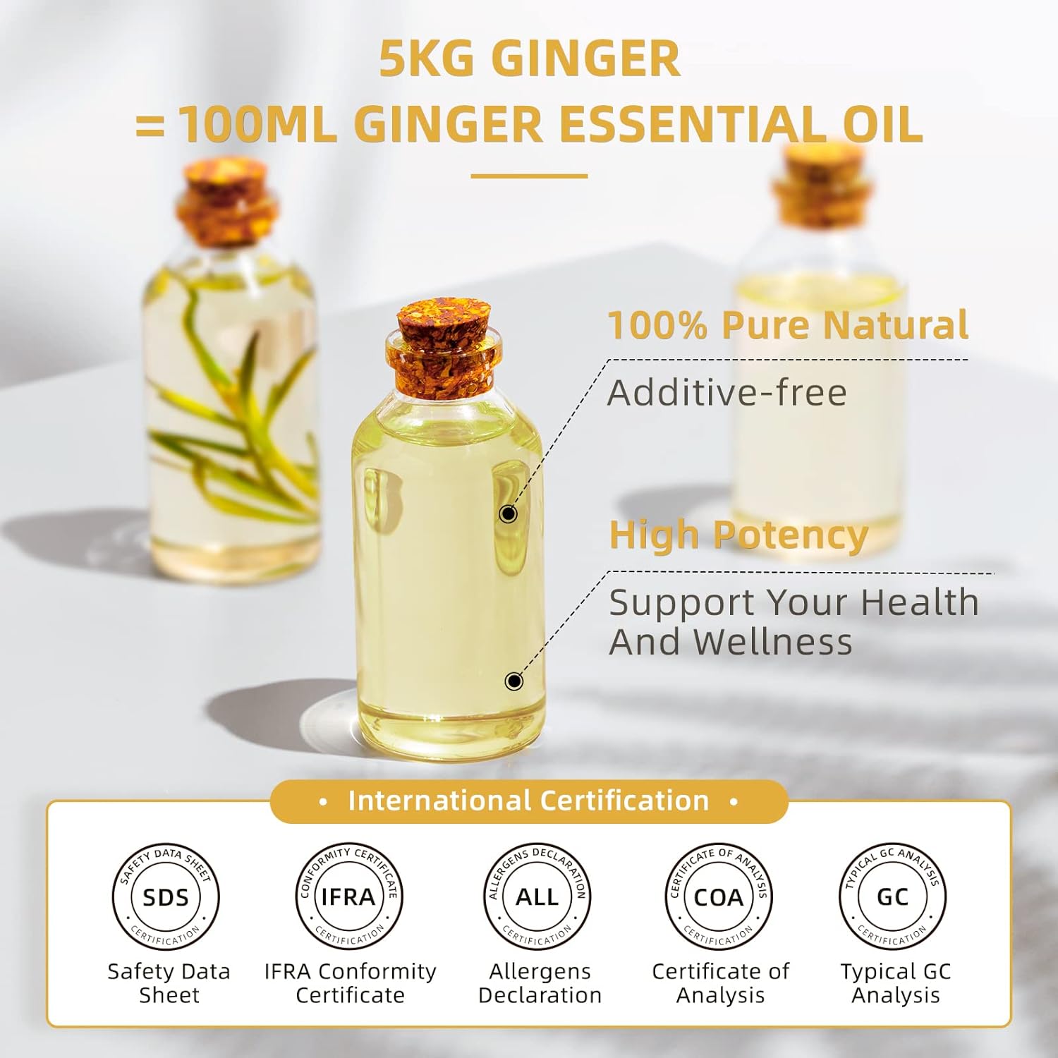 HIQILI 16 Fl Oz Ginger Oil, 100% Pure Natural Ginger Essential Oil for Hair, Massage, Skin - 500ML : Health & Household