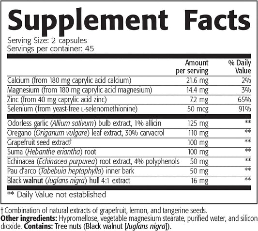 NEW ROOTS HERBAL Support Balanced Intestinal Flora, Oregano, Echinacea, Botanical Complex for Men and Women, Digestion Relief | 90 Capsules