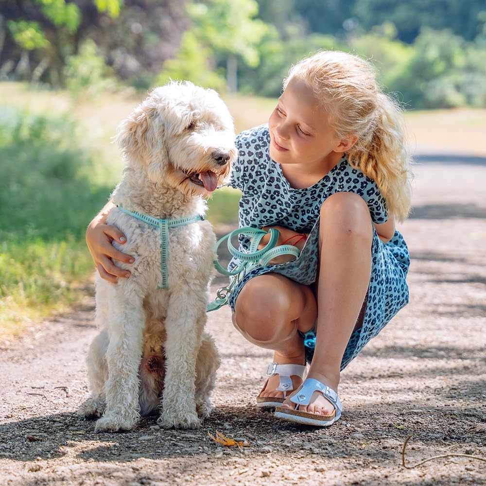 Nobby Leash Soft Grip, Blue :Pet Supplies