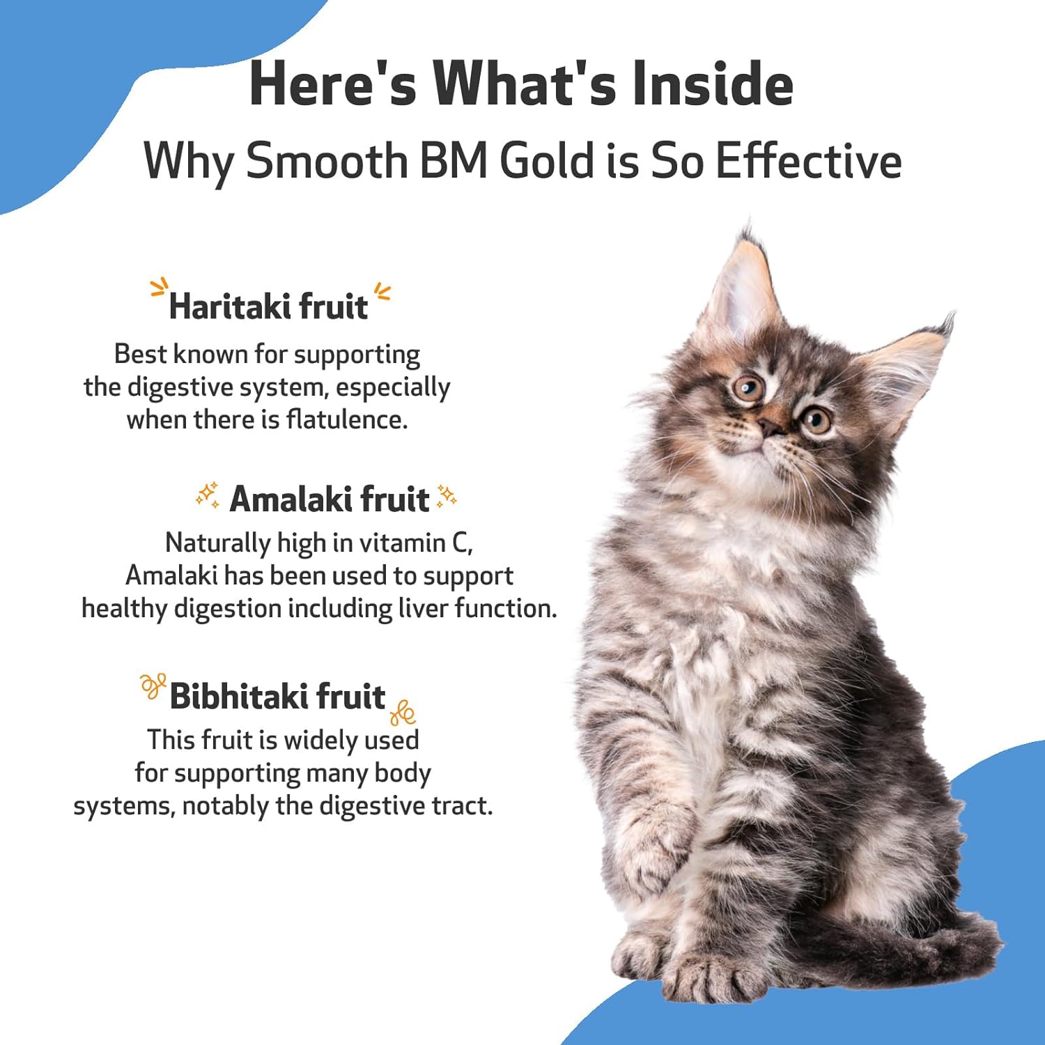 Pet Wellbeing Smooth BM Gold for Cats - Gentle Constipation Relief for Felines - Natural Herbal Supplement 2 oz (59 ml) : Pet Supplies