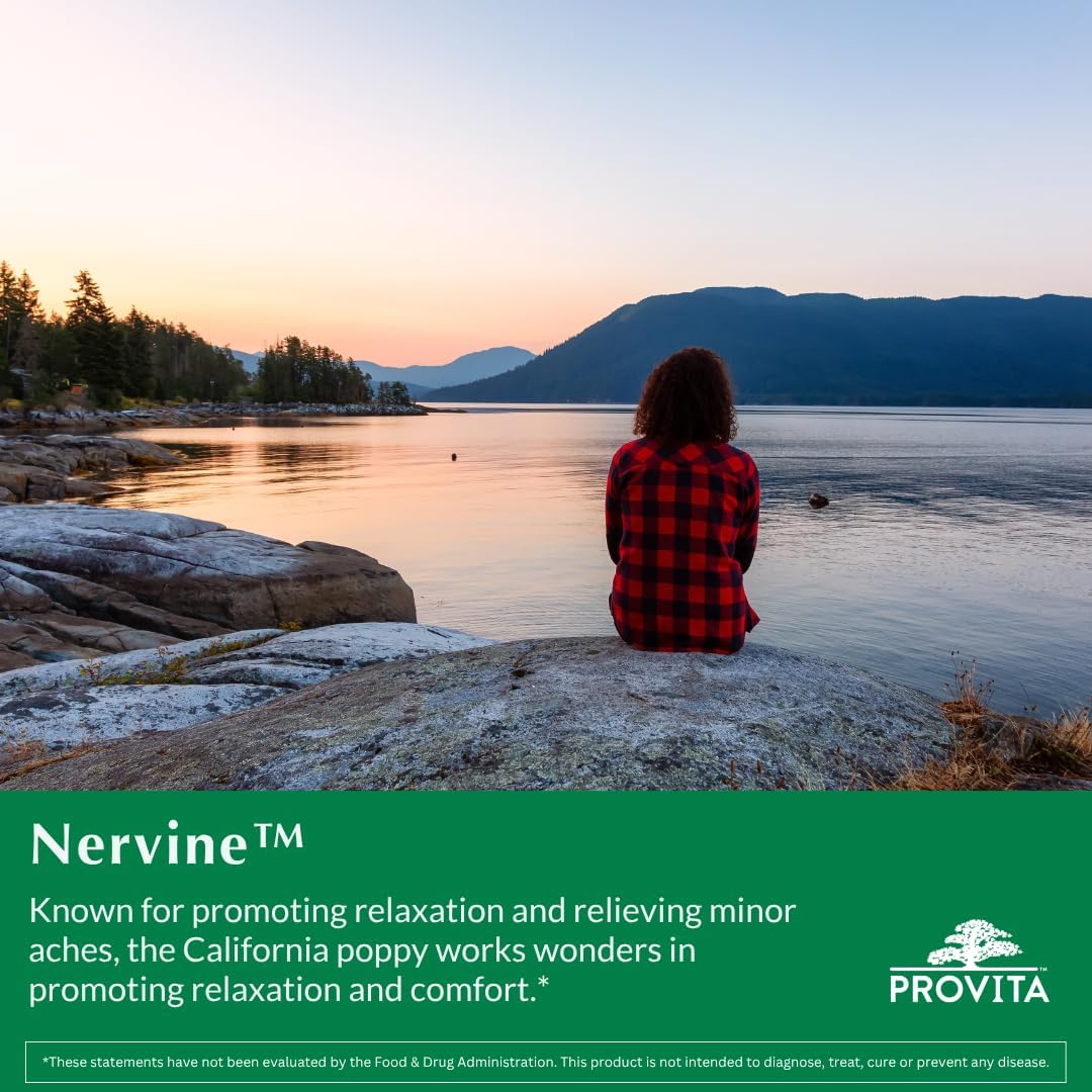 Provita Nervine: Herbal Support For Stress, Anxiety & Sleep (60 Capsules) : Health & Household