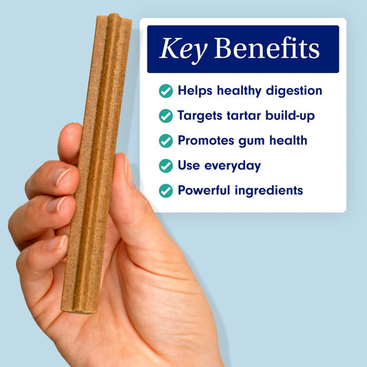 Petlab Co. Dental Sticks – Dog Dental Chews -Target Plaque & Tartar Build-Up At The Source - Designed To Maintain Your Dog’S Oral Health, Keep Breath Fresh And Provide Digestive Help (6 Sticks)