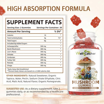 Lion'S Mane Mushroom Gummies For Adults - Mushroom Complex Supplement Gummies For Kids Focus And Energy Sugar Free With Cordyceps Green Tea, Mood Gummies Organic Vegan Non Gmo Orange Flavor 60Ct