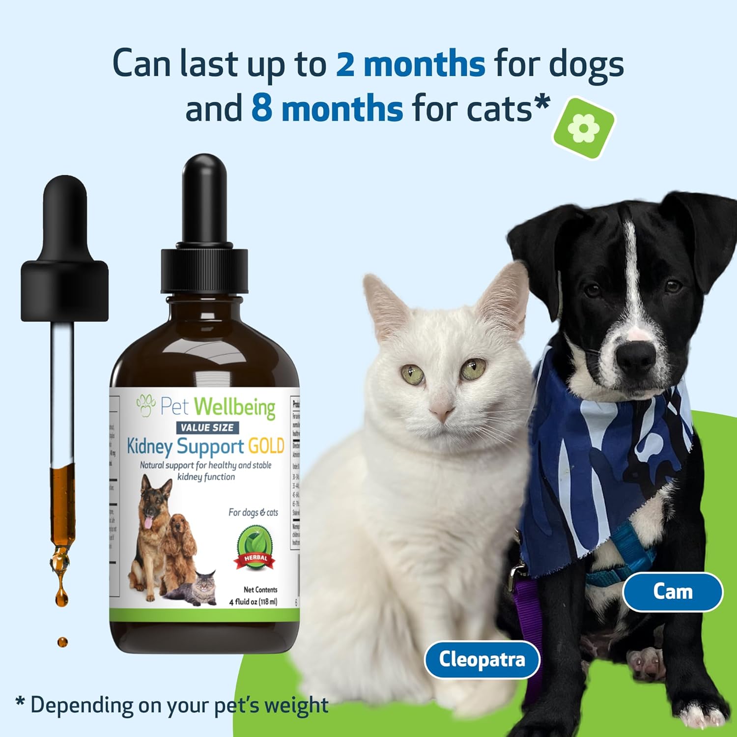 Pet Wellbeing Kidney Support Gold for Dogs & Cats - Supports Healthy Kidney Function - Veterinarian-Formulated Herbal Supplement 4 oz (118 ml) : Pet Supplies
