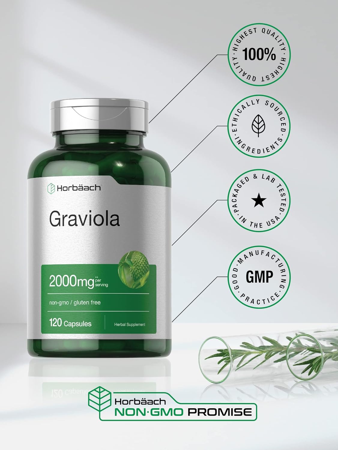 Horbäach Graviola Extract 2000 mg 120 Capsules | Non-GMO, Gluten Free | Soursop (Annona Muricata) : Health & Household