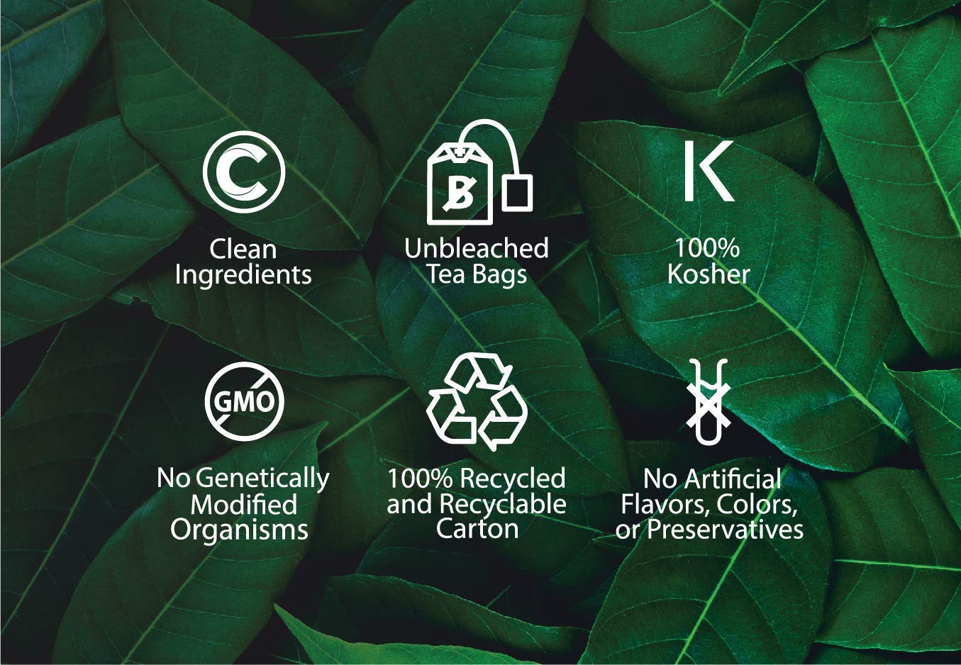 Buddha Teas Organic Eucalyptus Tea - Ou Kosher, Usda Organic, Ccof Organic, 18 Bleach-Free Tea Bags