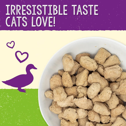 Stella & Chewy'S Freeze-Dried Raw Cat Dinner Morsels – Grain Free, Protein Rich Cat & Kitten Food – Duck Duck Goose Recipe – 8 Oz Bag
