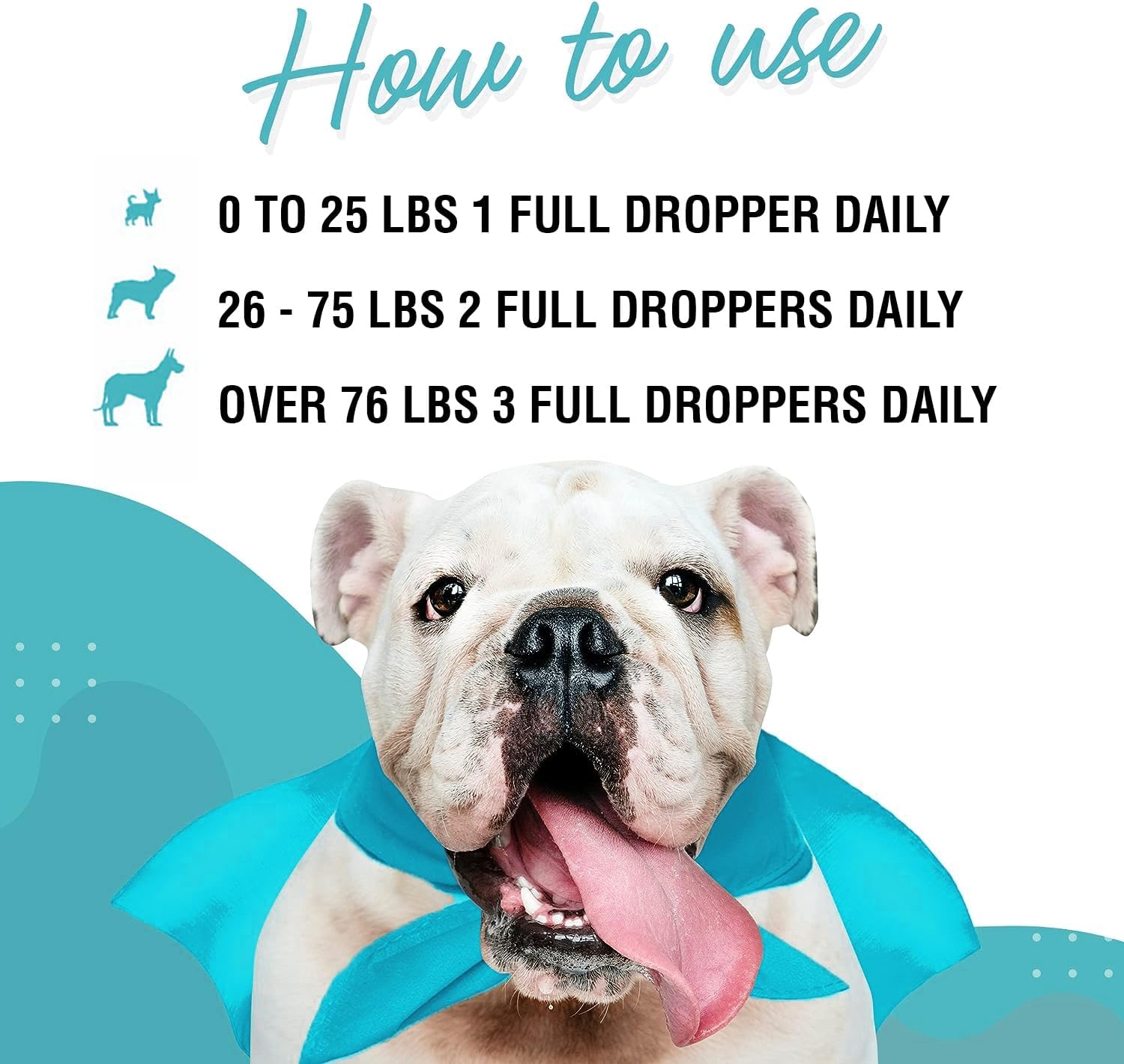 Premium Eye Supplement For Dogs – Tear Stain Supplement For Dogs, Eyes, Vision & Macular Health - Eye Support for Dogs with Lutein, Zeaxanthin, Astaxanthin & Omegas - All Ages, Sizes & Breeds – 2oz : Pet Supplies