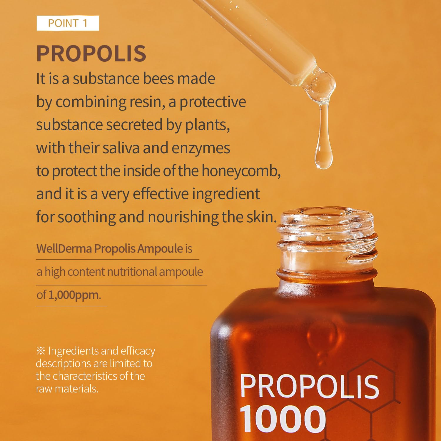 Wellderma Propolis Facial Ampoule For Dry Skin & Sensitive Skin Hydrating For Face Skin Care Korean Essence For Face Beauty Ampoule 1.69Oz 50Ml