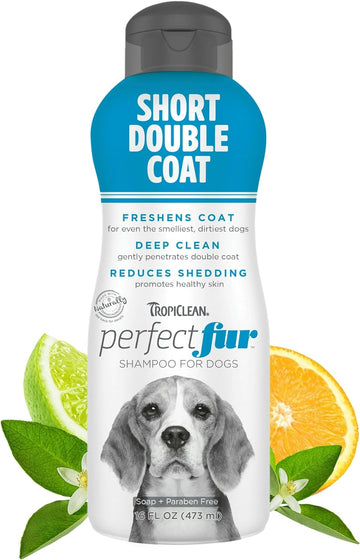 TropiClean PerfectFur Dog Shampoo - Used by Groomers - Derived from Natural Ingredients - Shed Control Formula for Short Double Coat Breeds like Beagles, Labs, Rottweilers & Pugs - 473ml?PFSDSH16Z