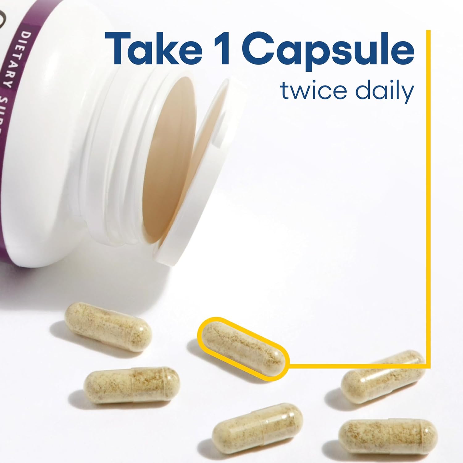Natural Factors, Celery Seed, Concentrated Celery Extract for Healthy Circulation & Heart Support : Health & Household