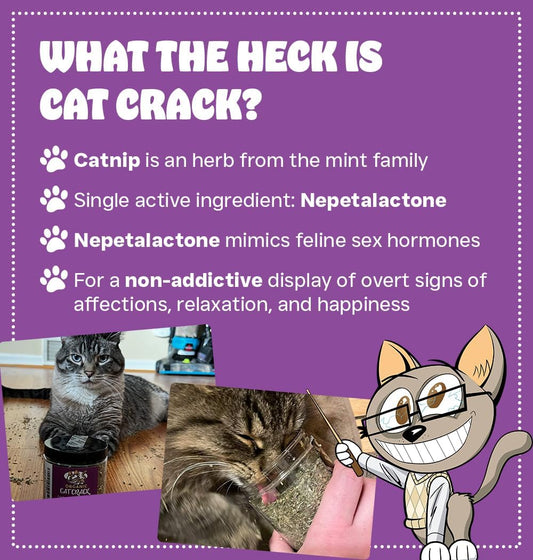 Cat Crack Catnip, Zoomie-Inducing Cat Nip Blend, North American Made & 100% Natural, Safe & Non-Addictive Catnip Treats Used to Supplement Catnip Toys, Catnip Spray, & Cat Accessories (4 Cups)