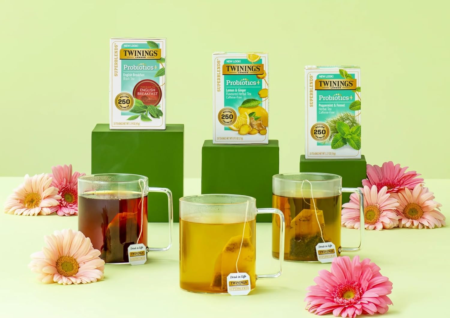 Twinings Love Your Gut Herbal Tea Sampler (Pack of 24) with By The Cup Honey Sticks : Grocery & Gourmet Food