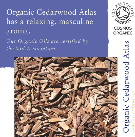 Absolute Aromas Organic Cedarwood Atlas Essential Oil