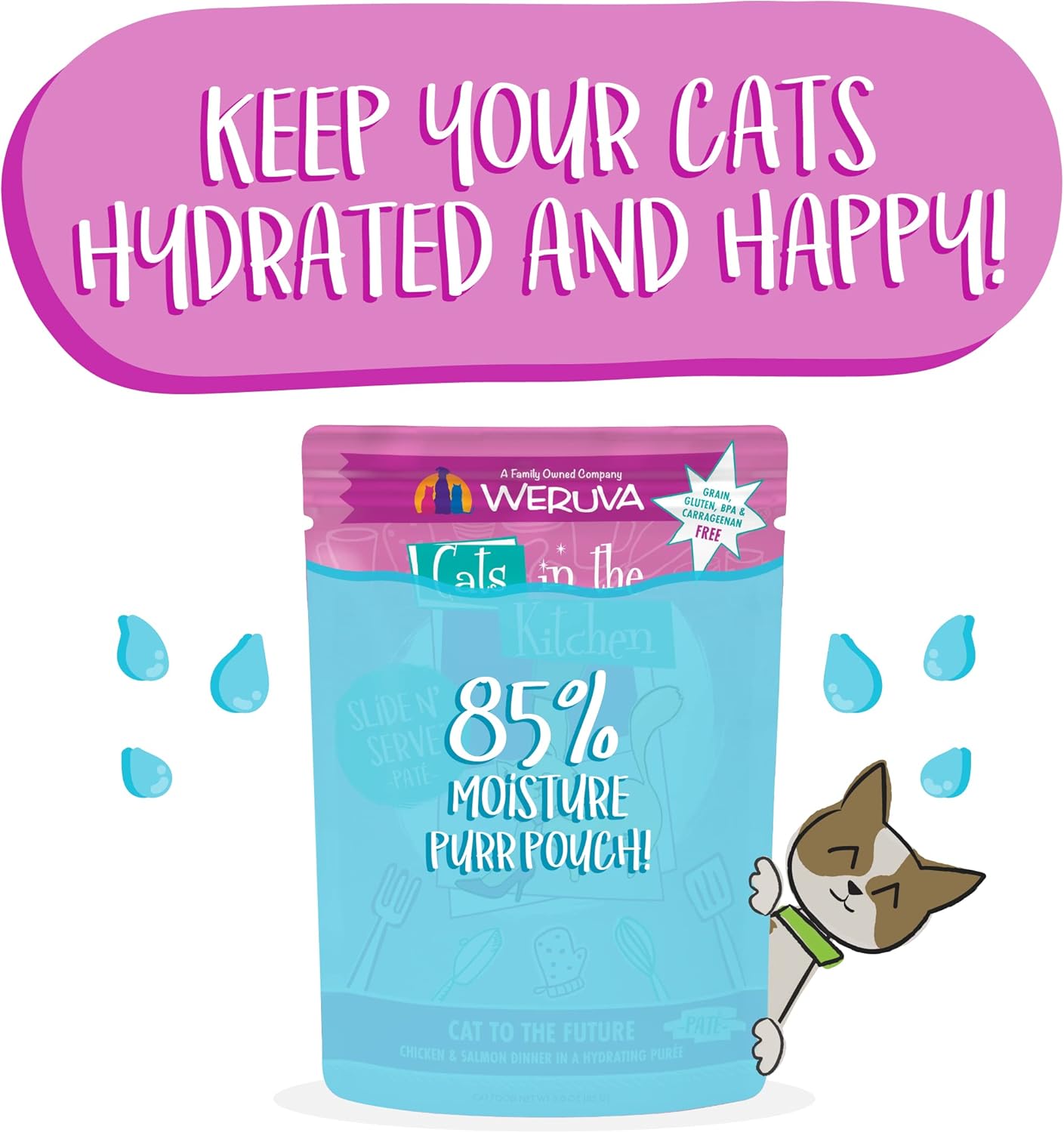 Weruva Cats in The Kitchen Slide N' Serve Grain-Free Natural Wet Pate Cat Food Pouches, Cat to The Future, 3oz Pouch (Pack of 12) : Pet Supplies