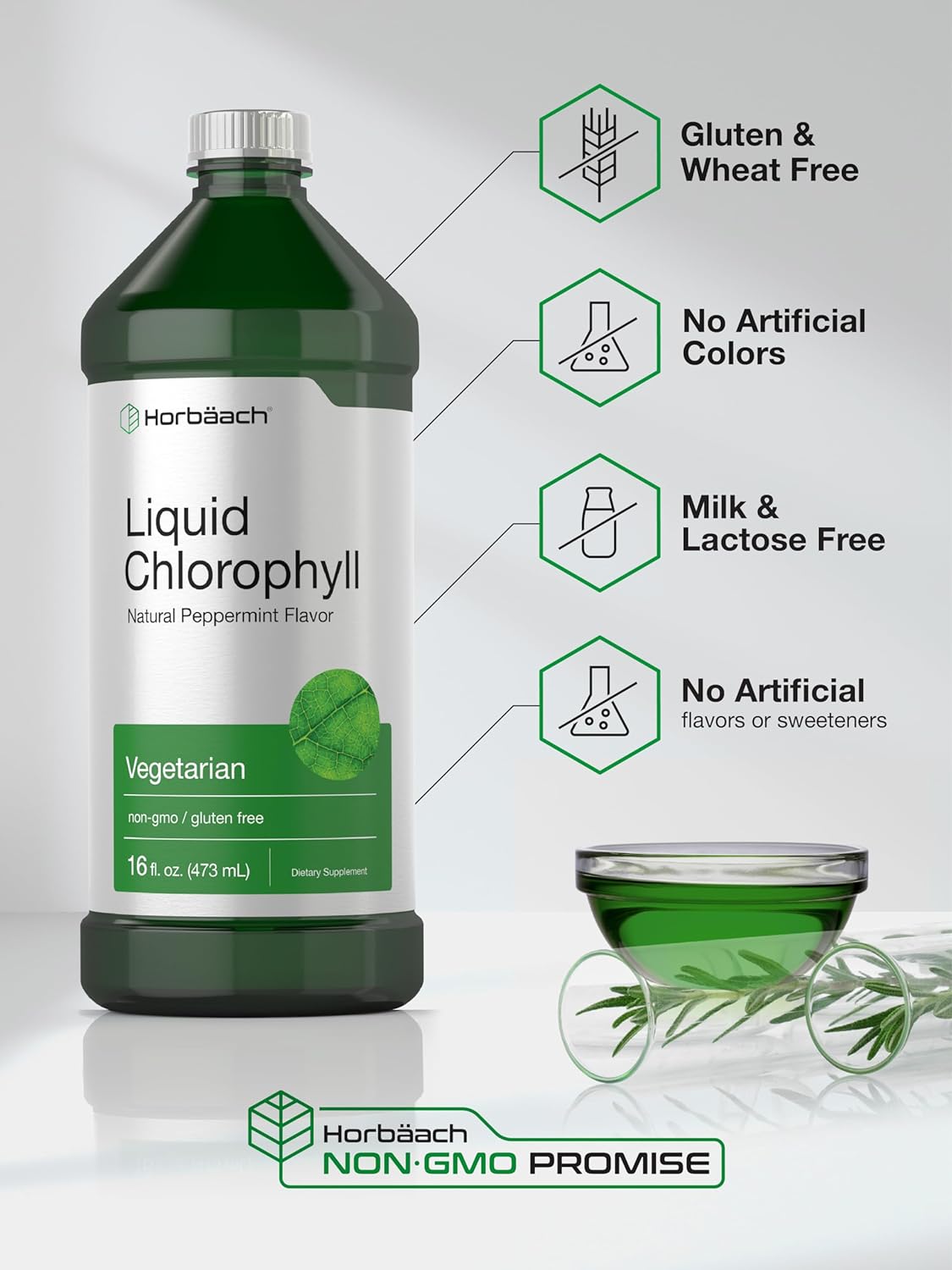 Horbaach Chlorophyll Liquid Drops 100mg | 32 oz (2 x 16 oz Bottles) | Natural Peppermint Flavor | Vegetarian, Non-GMO, and Gluten Free Formula : Health & Household