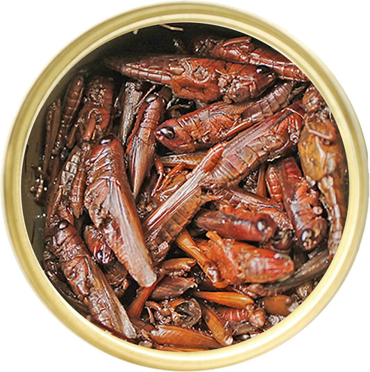 Canned Grasshoppers (1.2 Oz.) - Healthy High Protein Insect Treat - Hedgehogs, Sugar Gliders, Reptiles, Wild Birds, Chickens, Lizards, Bearded Dragons, Skunks, Opossums, Fish, Amphibians, Turtles