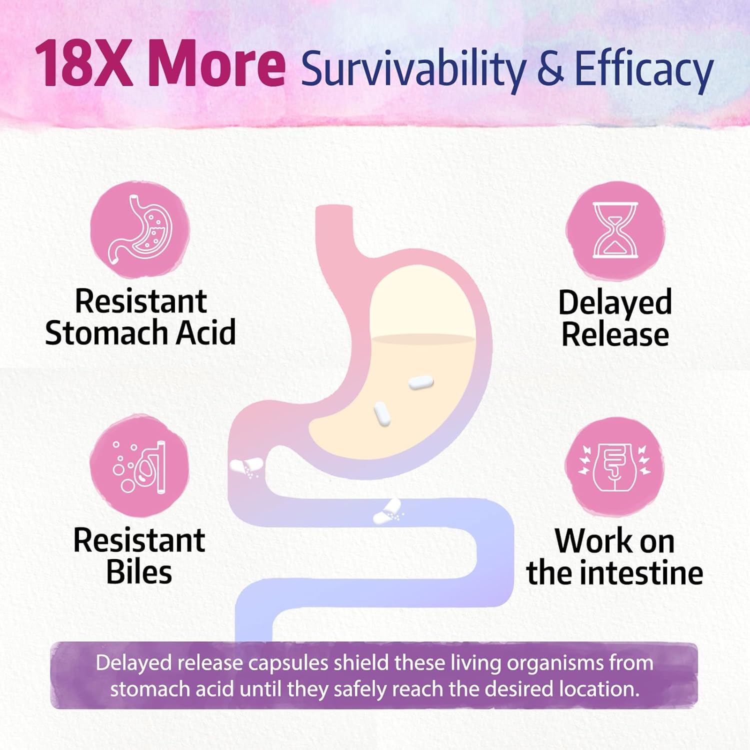 Bonawell Probiotics 120 Billion Cfu 32 Strains With Prebiotics, Digestive Enzymes For Gut Health, 3-In-1 Daily Probiotic, Shelf-Stable, Delayed-Release, 30 Veggie Caps : Health & Household