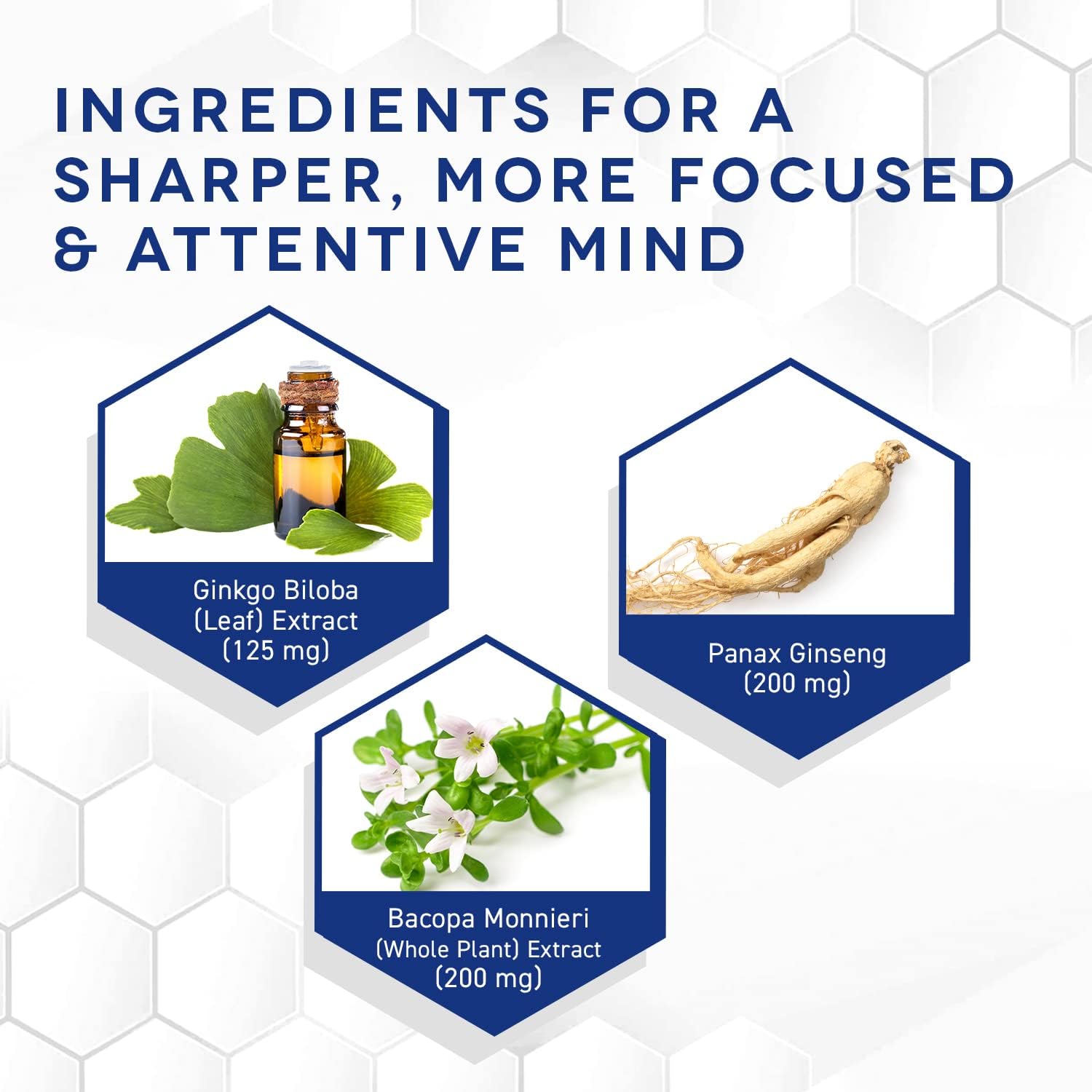 NATURAL STACKS Ginkgo Biloba Supplements w/Panax Ginseng and Bacopa Monnieri - Focus Supplement for Mental Performance, Brain Supplements for Adults, 60 Ginkgo Biloba Capsules : Health & Household