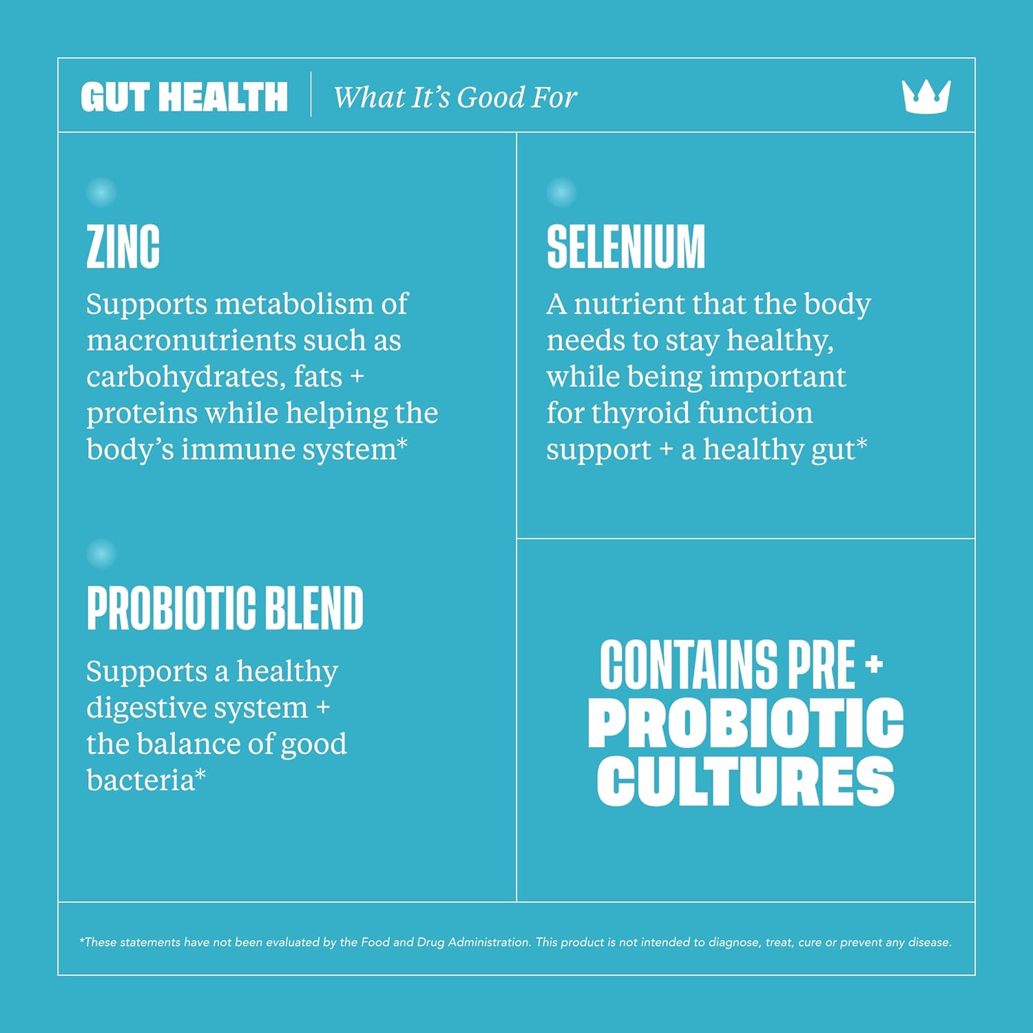 Health By Habit Gut Health Supplement (60 Capsules) - Contains 1.5 Billion probiotic Cultures, Prebiotic Apple Extract, Support a Healthy Digestive System, Non-GMO, Sugar Free (1 Pack) : Health & Household