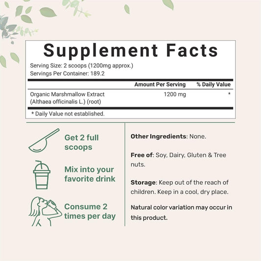 Micro Ingredients Organic Marshmallow Root Powder, 8 Ounce, Filler Free And Traditionally Used, Supports Digestive Gastrointestinal Health, Non-Irradiated And No Gmos, Vegan Friendly