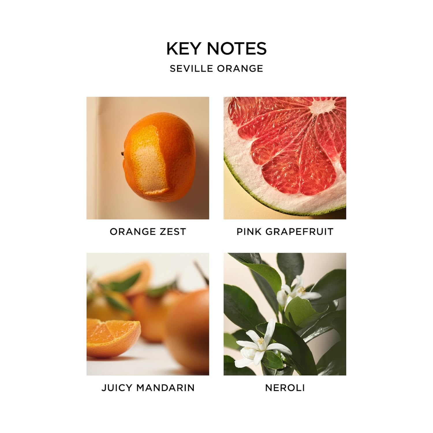 Nest New York Seville Orange Body Mist - 125 Ml - Vegan & Cruelty Free : Beauty & Personal Care