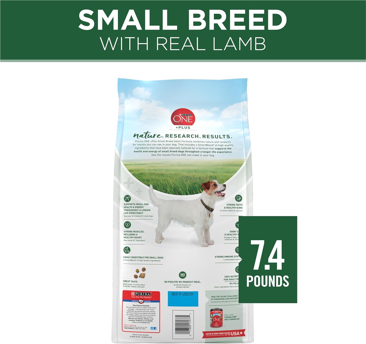 Purina ONE Plus Small Breed Lamb and Rice Formula Dry Dog Food - 7.4 lb. Bag : Pet Supplies