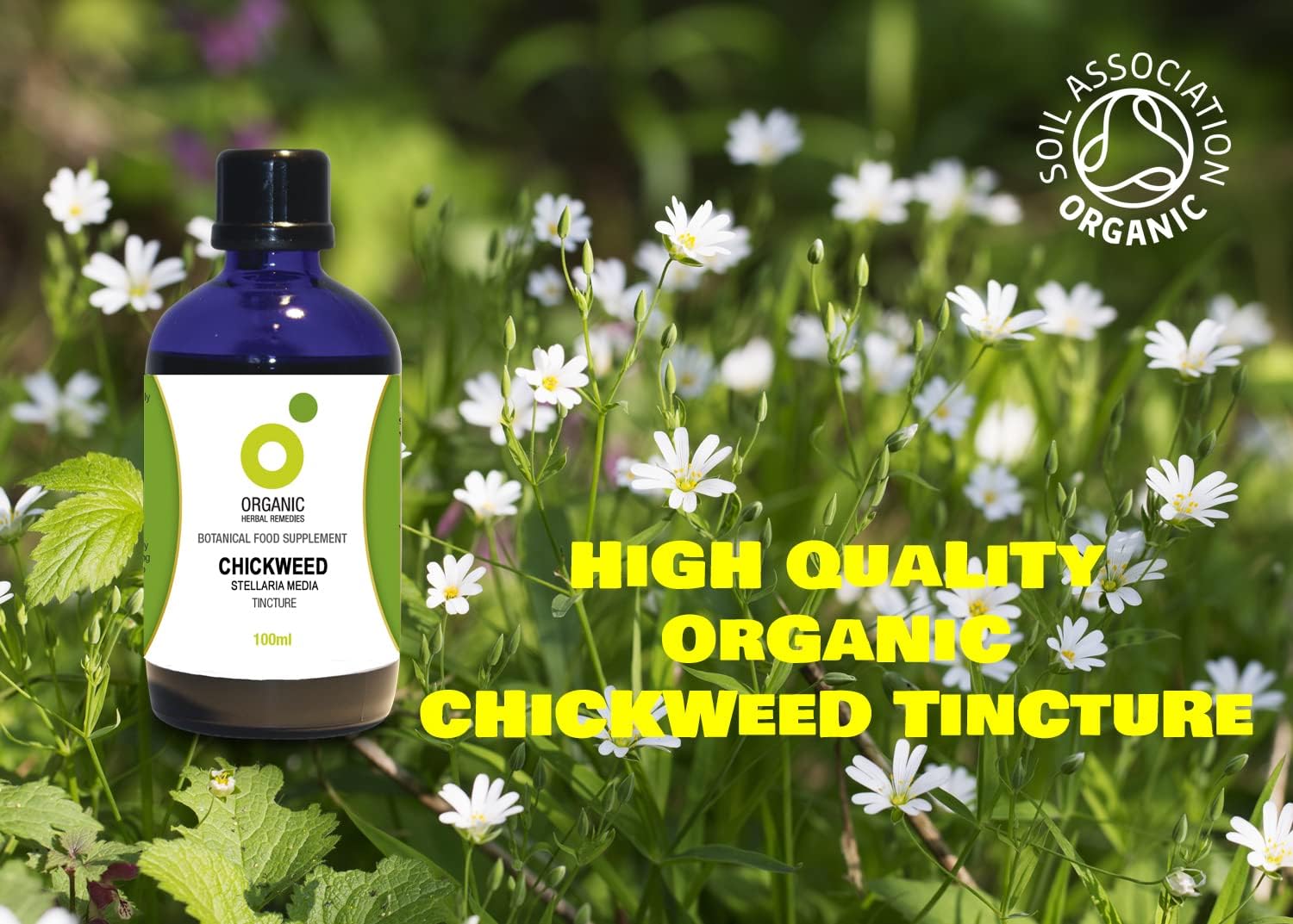 Organic Herbal Remedies 100ml Chickweed Tincture : Amazon.co.uk: Health & Personal Care