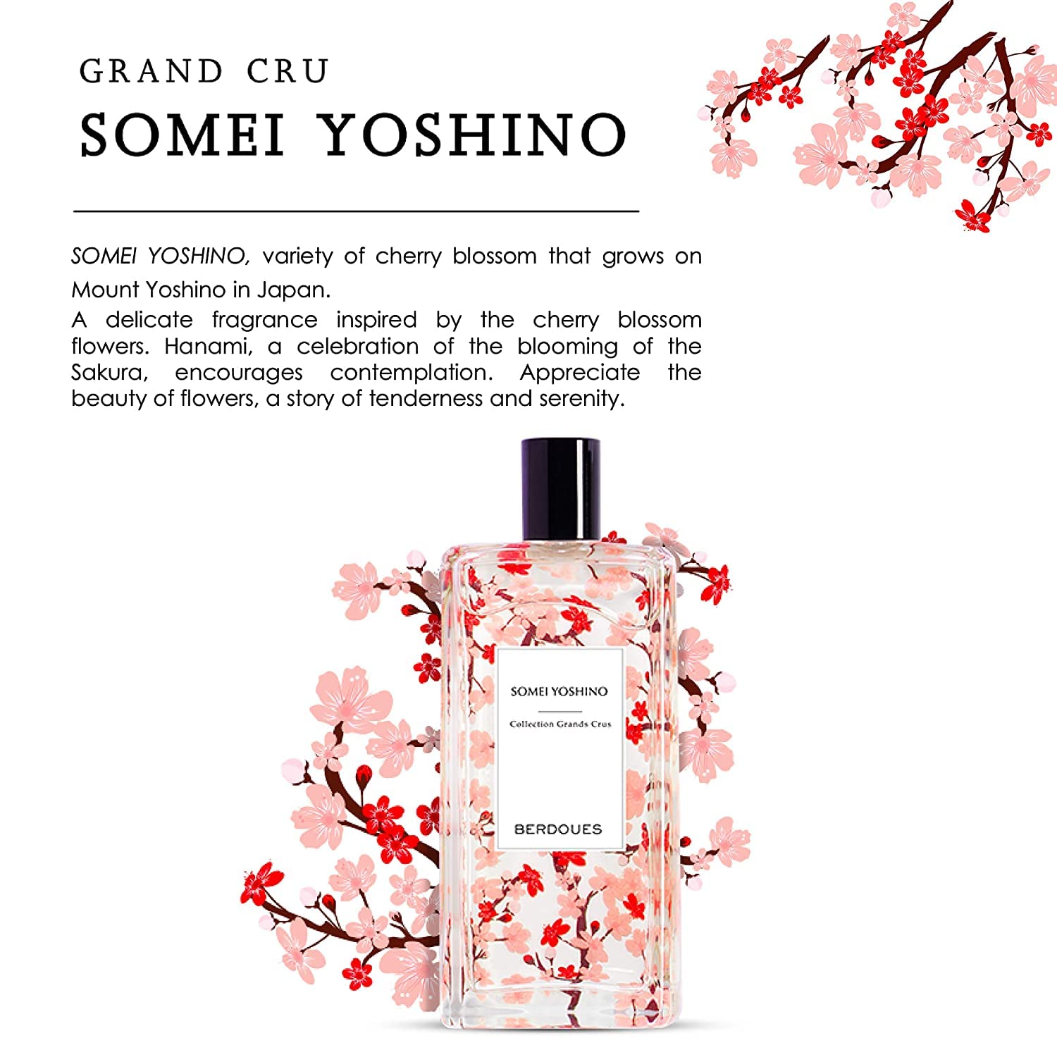 Berdoues Eau De Parfum Spray - Somei Yoshino, For Women 3.4 Fl Oz : Beauty & Personal Care